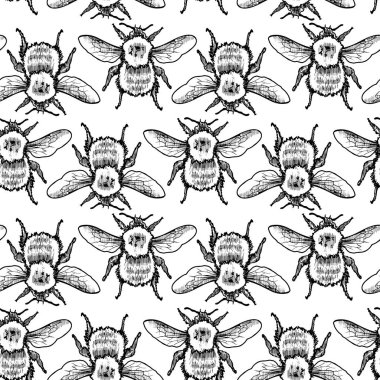 Stampabumblebee Vektör Kroki Dikişsiz Desen