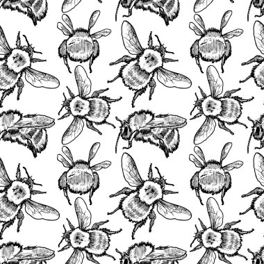Stampabumblebee Vektör Kroki Dikişsiz Desen