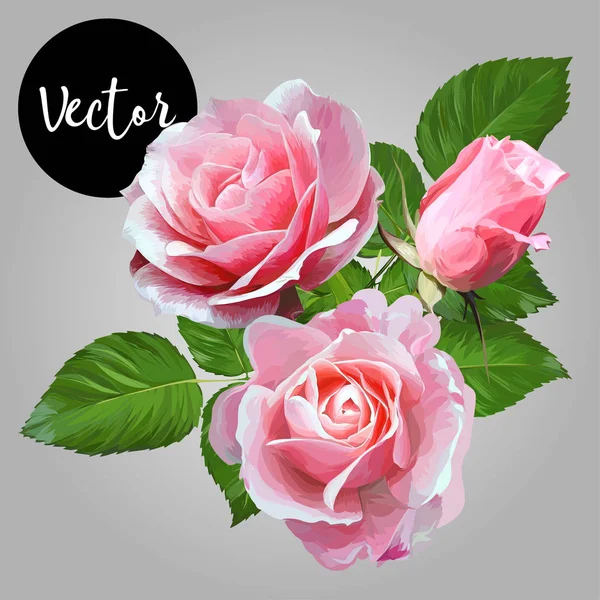 Ramo de rosas rosadas Vector Ilustración — Vector de stock