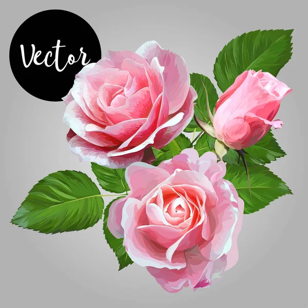 Pembe Güller Buket Vektör İllüstrasyon