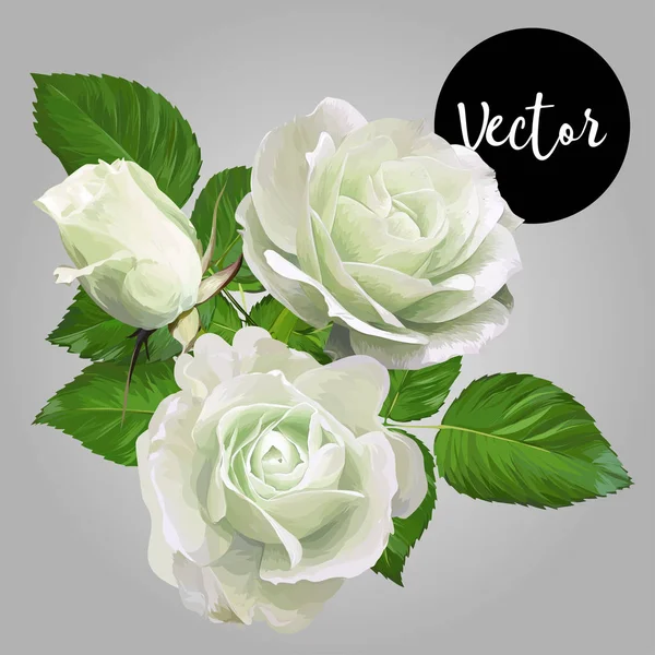 Rosa rosor bukett vektor illustration — Stock vektor