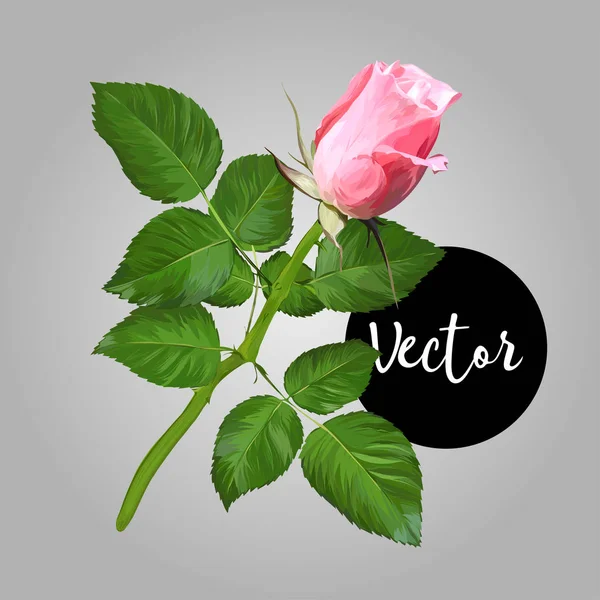 Illustration vectorielle rose fleur — Image vectorielle