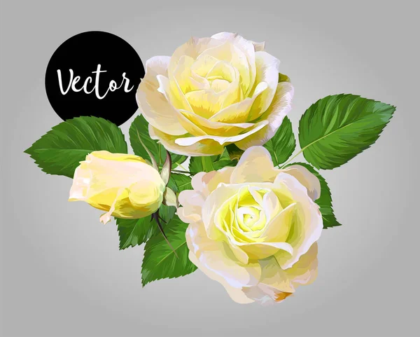 Pink Roses Bouquet Vector illusztráció — Stock Vector