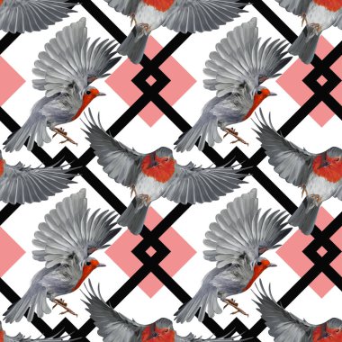 Avrupa Robin Vektör El Çizilmiş Dikişsiz Desen