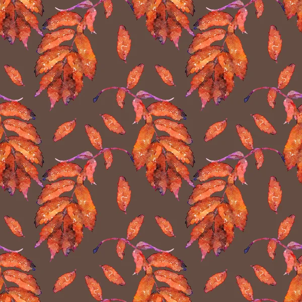 Rowan Leaves And Berries Watercolour Seamless Pattern