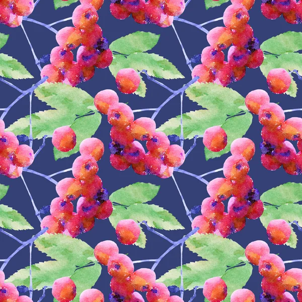 Rowan Leaves And Berries Watercolour Seamless Pattern