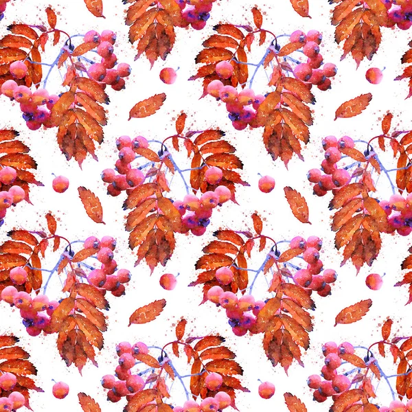 Red Rowan Leaves Seamless Watercolour Pattern