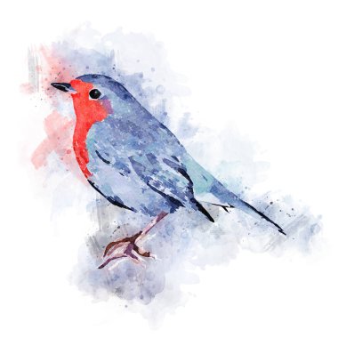 Avrupa robin Suluboya İllüstrasyon