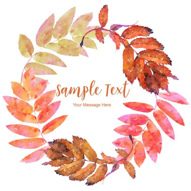 Kırmızı Rowan Suluboya Çerçeve ŞablonU İllüstrasyon