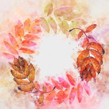 Kırmızı Rowan Suluboya Çerçeve ŞablonU İllüstrasyon