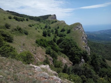 deniz ve köy manzaralı dağlar, orman