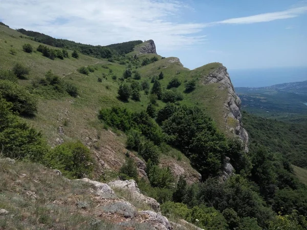 deniz ve köy manzaralı dağlar, orman