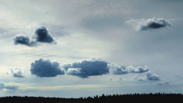 Langit Yang Indah Dengan Awan Bertekstur Dan Hutan Yang Gelap — Stok Foto
