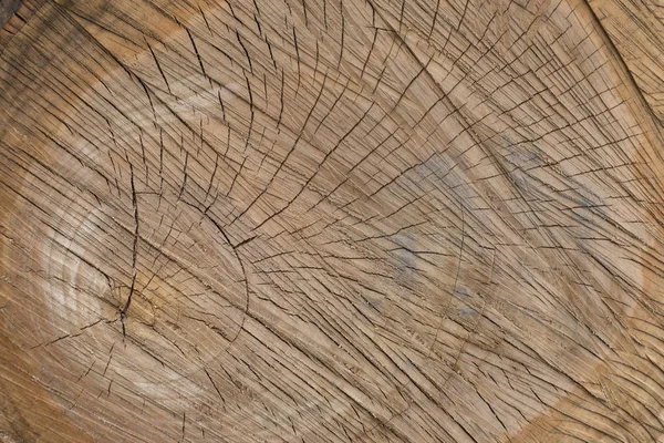 Fából Készült Természetes Háttér Tervezés Banner Elrendezés — Stock Fotó