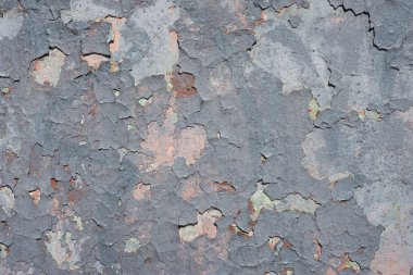 Duvar eski gri soyulması boya ile kaplı. Arka plan