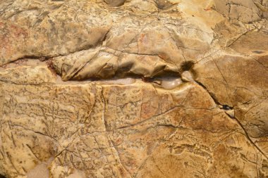 Deniz dalgaları ile cilalı taş. Arka plan