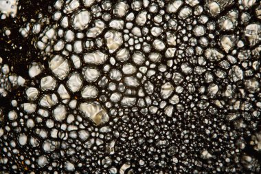 Donmuş köpük. Karamel. Askorbik asit.