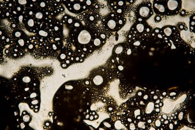 Bilim, kimya, teknoloji. Karamel. Askorbik asit kristalleri.