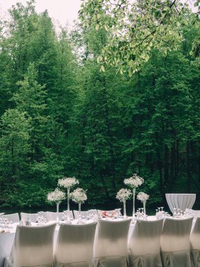 Yemekleri servis ve düğün alayını alanında dekore Festival tablo.