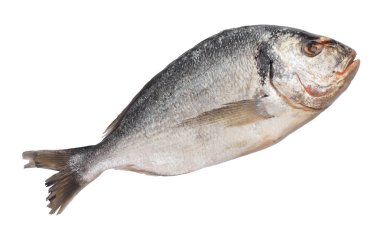 Dorado çiğ balık dondurulmuş. izole beyaz arka plan.