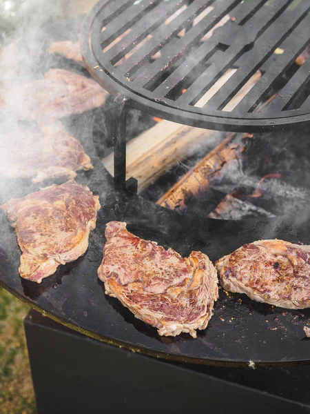 Cozinhar churrasco grelhar carne fogo aberto no festival de verão — Fotografia de Stock