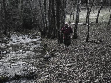 Viking kesme woods bir balta ile