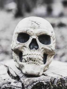 Kafatası bir gövde üzerinde