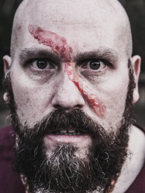 Viking savaşçısı yakın çekim