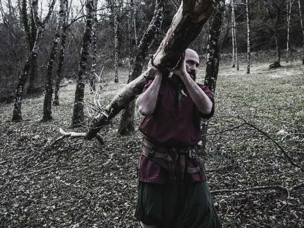 Bir ağaç tutan Viking — Stok fotoğraf