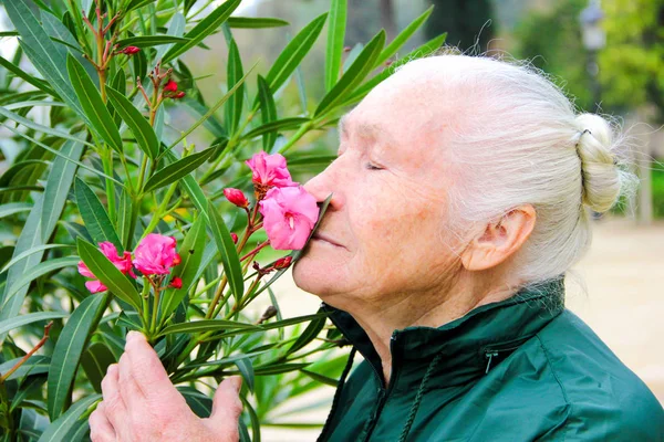 Пожилая женщина нюхает цветы на улице весной. Лицензионные Стоковые Фото