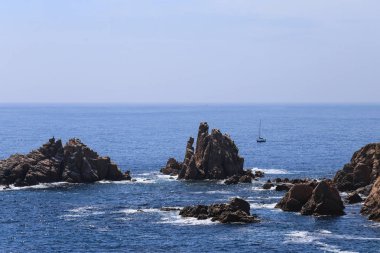 okyanus, adalar ve güneşli bir kuş
