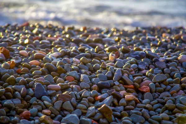 Камушек, камни на заднем плане, скалы на пляже — стоковое фото