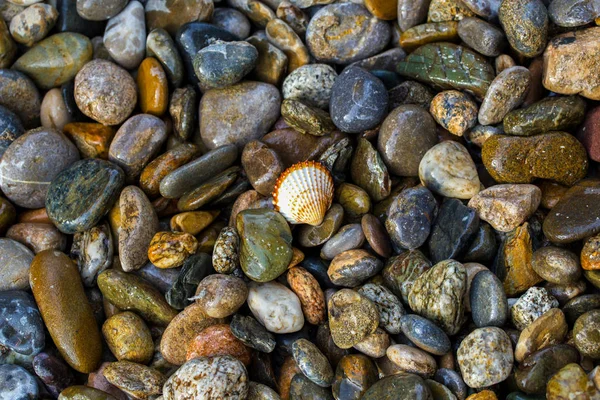 Tengeri kavics, kő háttér, strand sziklák — Stock Fotó