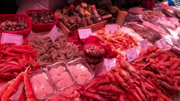 Stor Stall Färska Skaldjur Den Mest Populära Marknaden Barcelona Mercat — Stockvideo