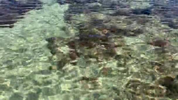 Při Přílivu Lanzarote Ostrov Pláž Orzola Nádherná Vodní Třpyta — Stock video