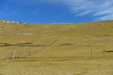 65. doğum gününden sonraki ideal manzara