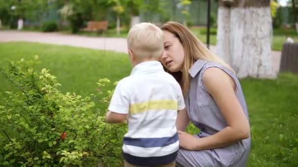 Um rapazinho está interessado num arbusto verde. Tocar, farejá-lo. A mãe fala com o filho, explica. Parque Verde. Movimento lento — Vídeo de Stock