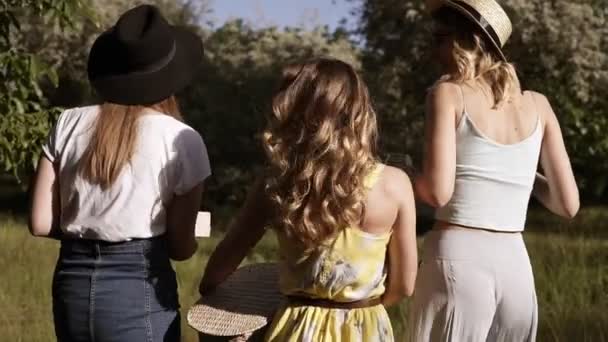 Het bijhouden van beeldmateriaal van drie mooie vrouwen in mooie outfit wandelen door het weiland of bos. Zonnige dag. Picknick buitenshuis — Stockvideo