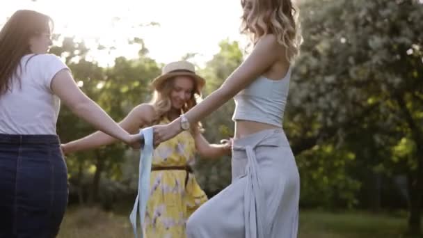 Namoradas alegres se divertindo juntas ao ar livre. Dança redonda, de mãos dadas. Dia brilhante e ensolarado. Movimento lento — Vídeo de Stock