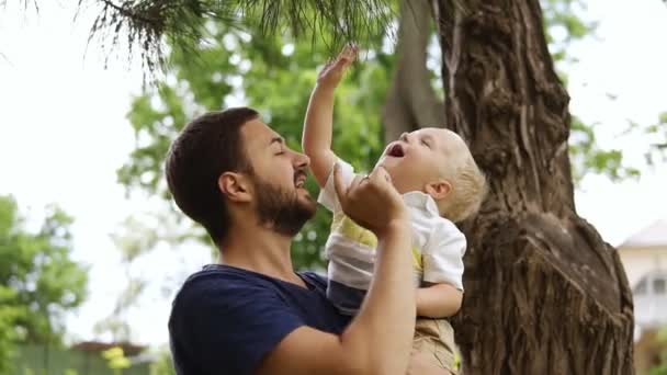 Ένας νεαρός πατέρας με ένα μπλε μπλουζάκι και μια γενειάδα δείχνει τον νεαρό γιο του περίεργος ένα Κωνοφόρο δέντρο με βελόνες. Κρατά στα χέρια του. Κοντινό πλάνο — Αρχείο Βίντεο