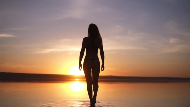 Magnífica vista de una mujer joven en bikini caminando por la orilla del mar, superficie del agua. Puesta de sol. Silueta de mujer. Movimiento lento — Vídeo de stock