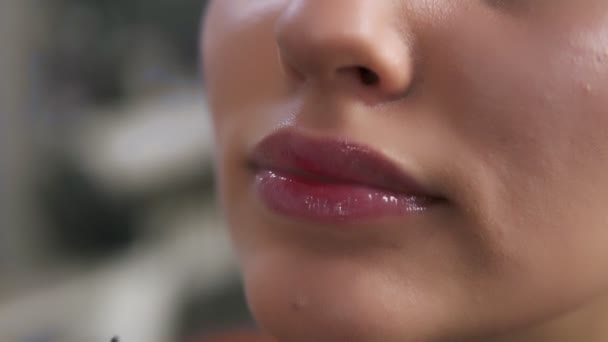Närbild bilder av en kvinnas läppar med ett läppglans. Maskör tillämpa lip stick med en tunn professionell borste. Göra upp konceptet — Stockvideo