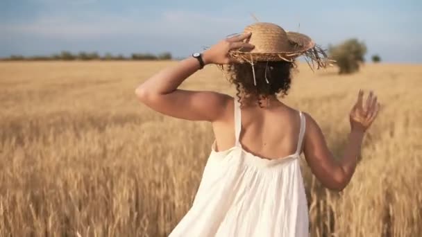 Seguimiento de imágenes de una hermosa chica en vestido de verano blanco y sombrero de paja corriendo libremente por el campo de trigo. Vista trasera — Vídeo de stock