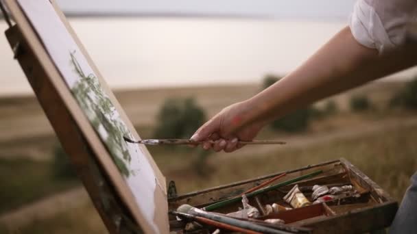 Nahaufnahme einer Künstlerin, die im Freien auf einer grünen Wiese am See an ihrem zukünftigen Bild arbeitet. bringt Farben mit Pinsel und Palette auf die Leinwand — Stockvideo