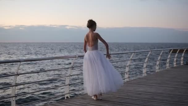 Вид сзади балерины в балетной пачке и точка на набережной над океаном или морем на восходе солнца. Танцовщица практикует балетные па, тренируется у перекладины. Утро восход солнца — стоковое видео