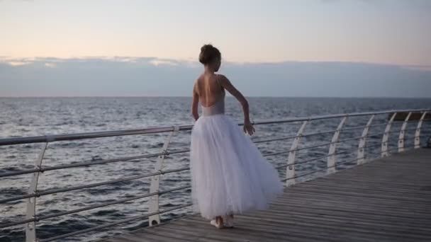 Vue de l'arrière de la ballerine en tutu ballet et pointez sur le remblai au-dessus de l'océan ou de la mer au lever du soleil. Danseuse pratique le ballet pas, l'exercice près de la barre transversale. Lever de soleil matinal — Video