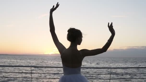 Bailarina graciosa que dança elementos do balé clássico., levantando mãos sensualmente. Visão traseira de uma bailarina em pé em frente ao mar ou ao oceano — Vídeo de Stock