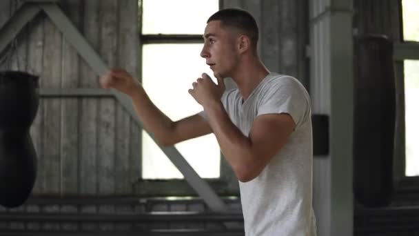 Vista lateral do jovem forte em shorts esportivos e camisetas boxe e soco oponente invisível durante o treinamento em ginásio, câmera lenta — Vídeo de Stock