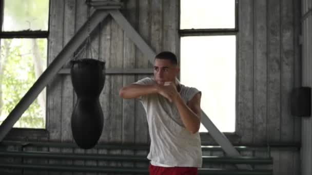 Portrait of strong young man in sport shorts and T shirts boxing and punching invisible opponent while training in gym, slow motion — Stock Video