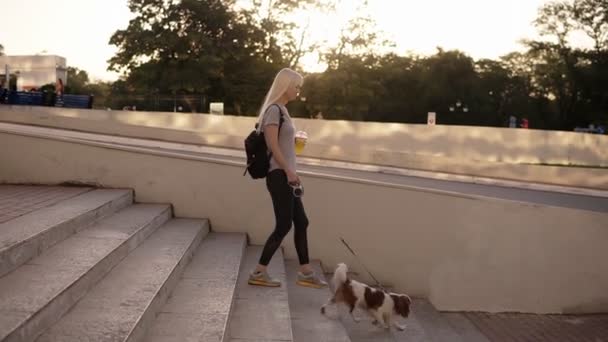 Widok z boku z kobieta spaceru z psem na smyczy w mieście. Chodzenie po schodach w parku, trzymając w plastikowy kubek napój pomarańczowy. Zwolnionym tempie — Wideo stockowe